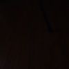 231dogz132